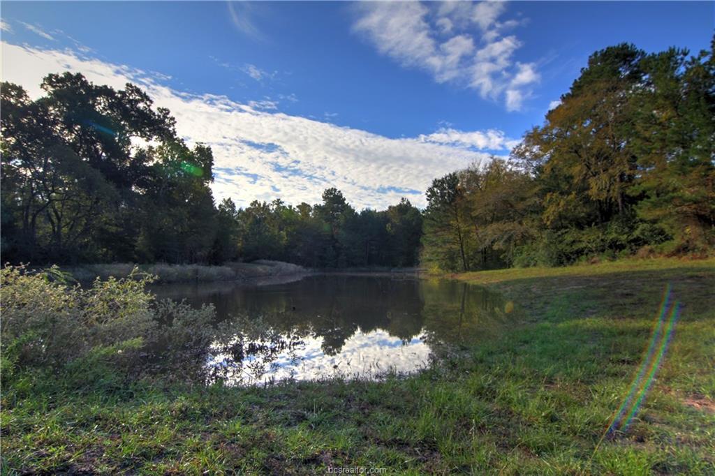 5275 Whitaker Way - Photo 1