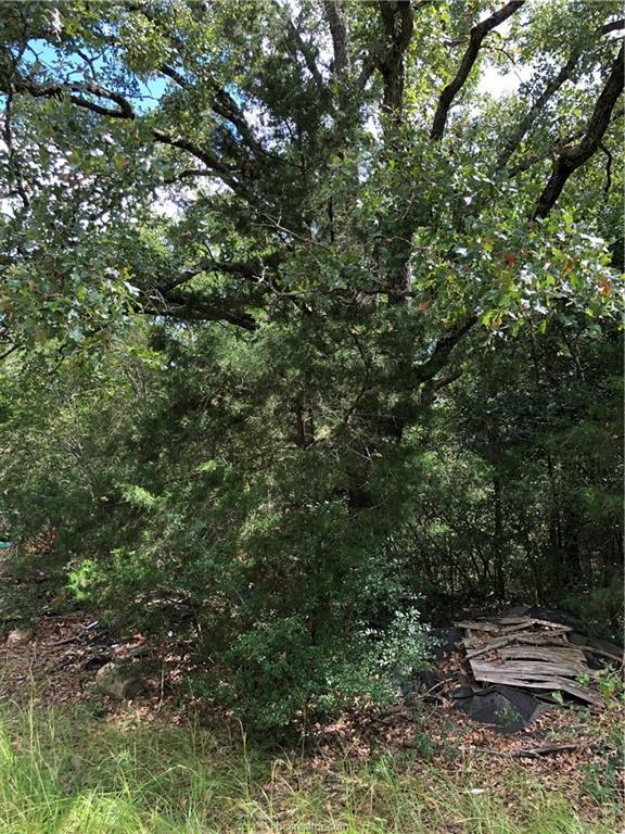 9999 Koppe Bridge Road - Photo 1