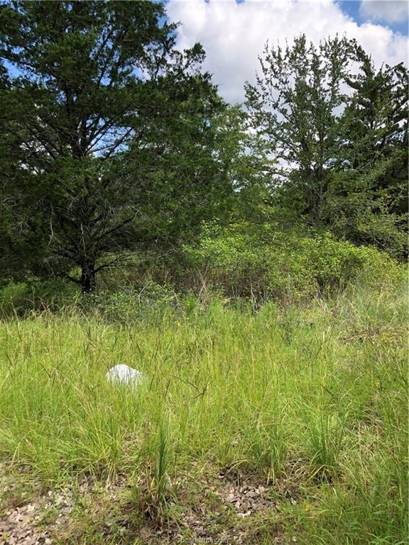 Koppe Bridge Rd Koppe Bridge Rd Road - Photo 1 Koppe Bridge Rd Koppe Bridge Rd Road - Photo 1