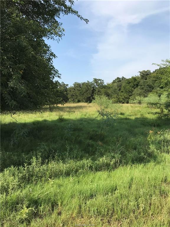 3765 Old Barker Ranch Road - Photo 1