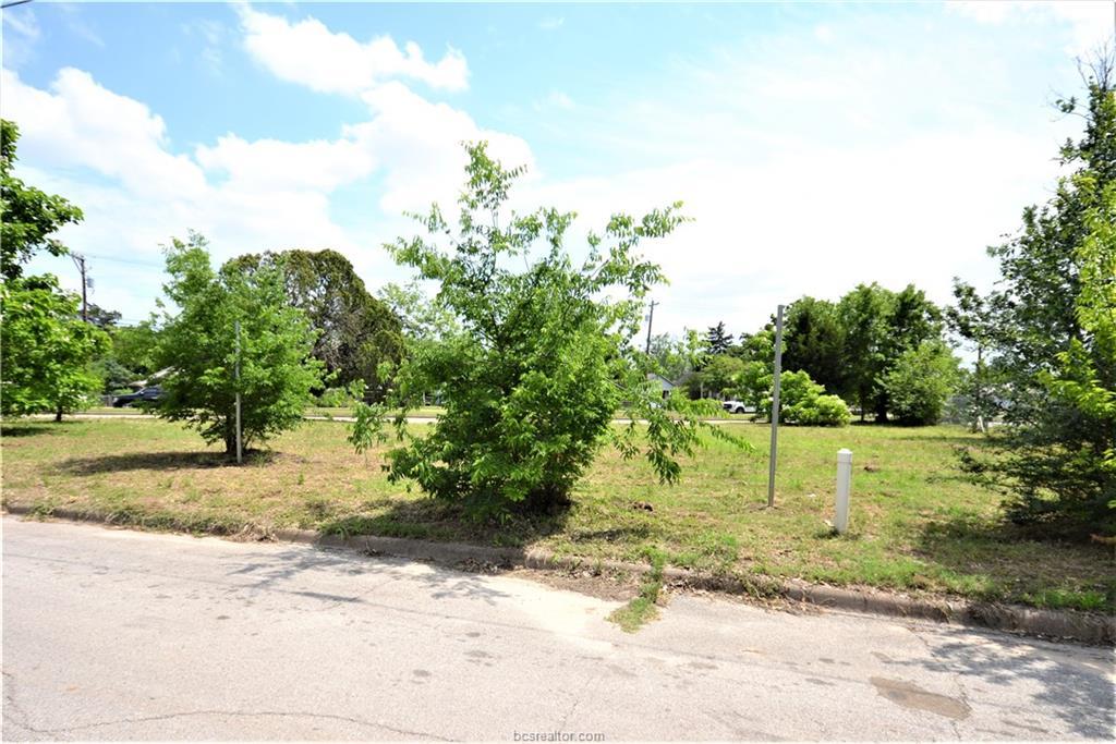 1410 San Jacinto Lane - Photo 1