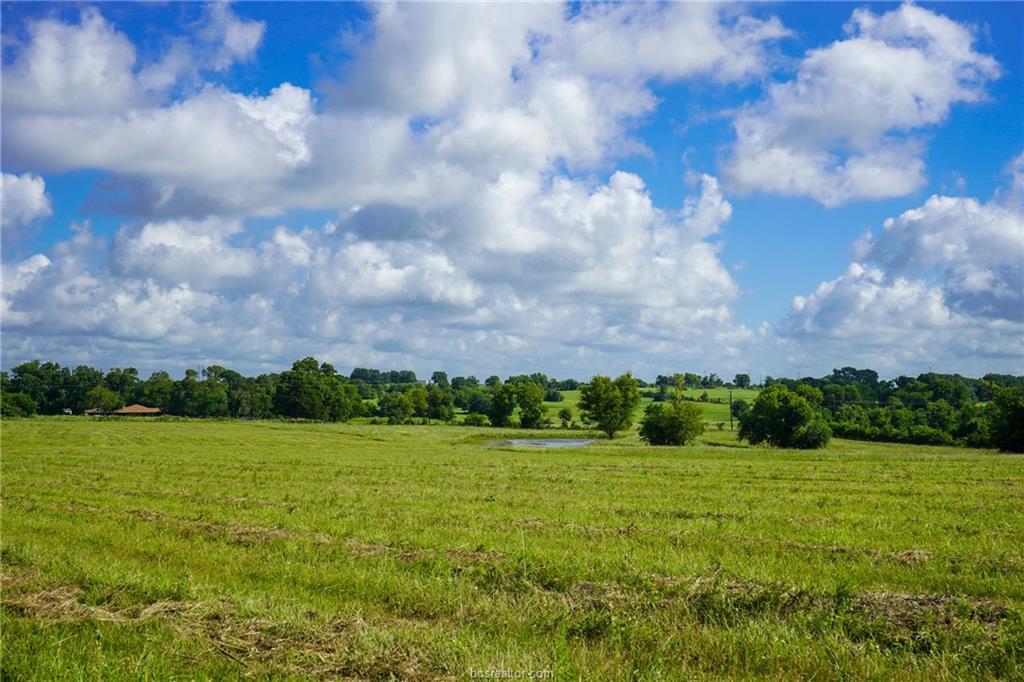 21 Fm 149 Road - Photo 1