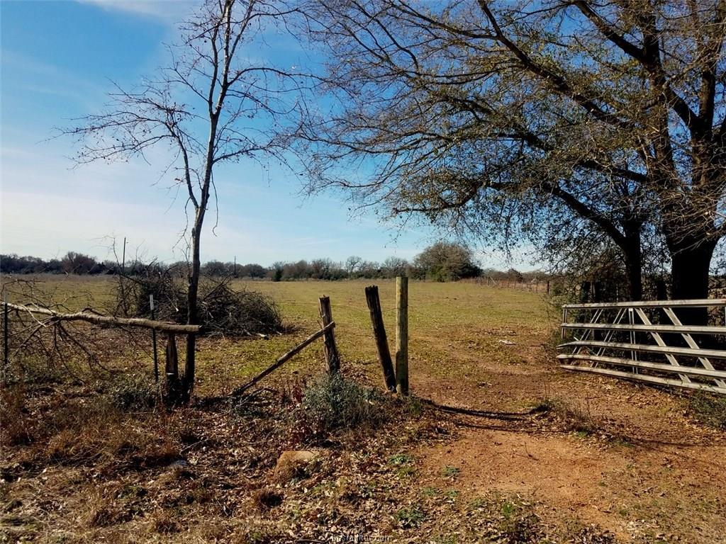 TBD Jack Brewer Rd - Photo 1