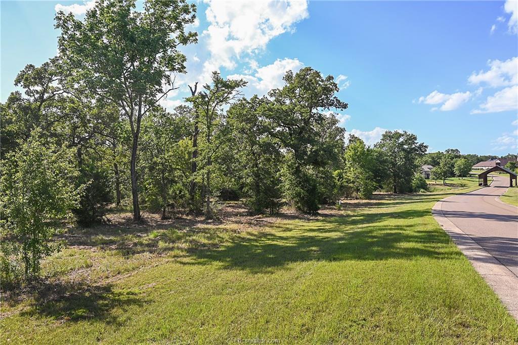 Lot 14 King Oaks Drive - Photo 1