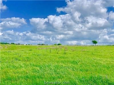 TBD Helm Road - Photo 1