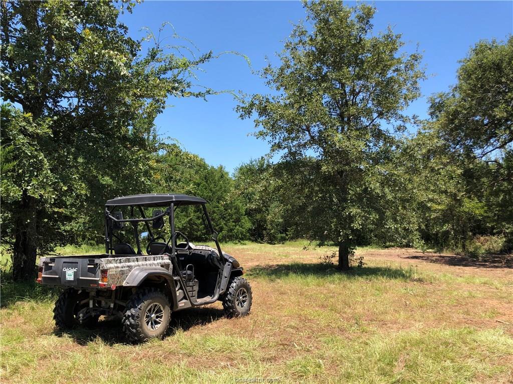 (+/-20 ac) TBD Wylie Lane - Photo 1
