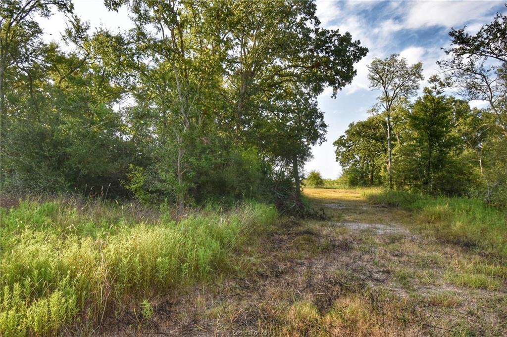 18012 Wigeon Trail Drive - Photo 1