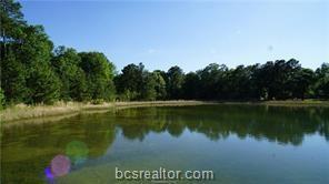 29200 Clydesdale Drive - Photo 1