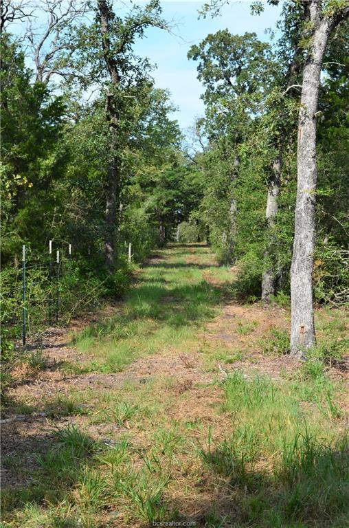 14265 Vitera Sand Road - Photo 1