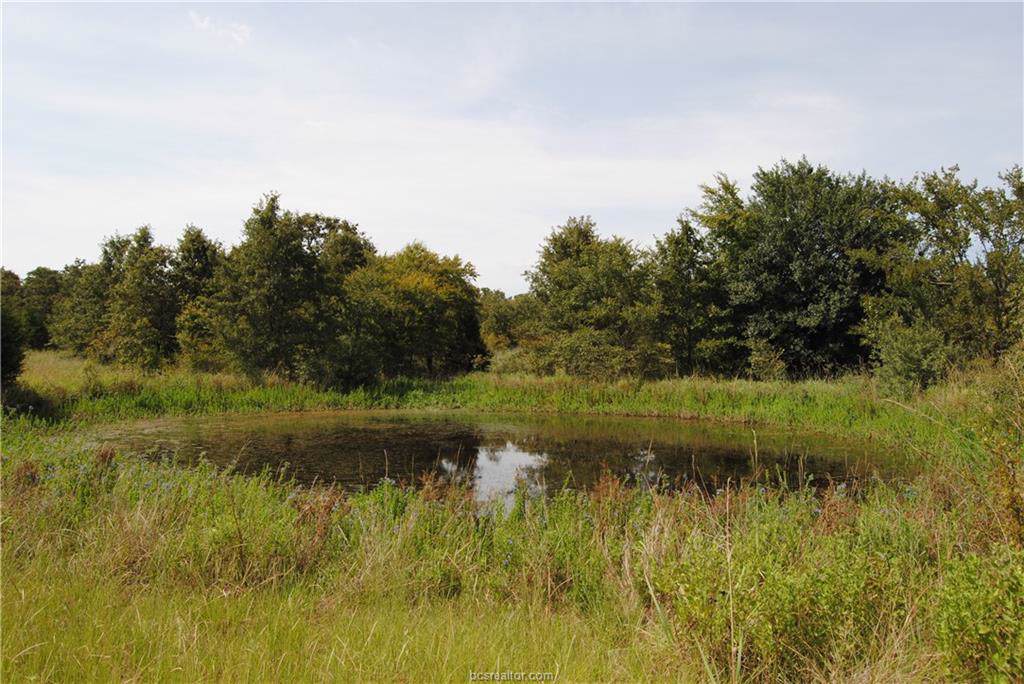 18.889 ACRES County Road 353 County Road - Photo 1