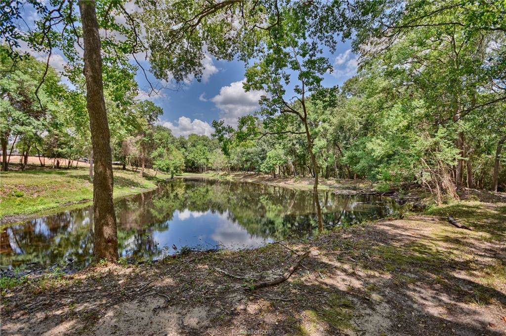 143 Wild Phlox Drive - Photo 1