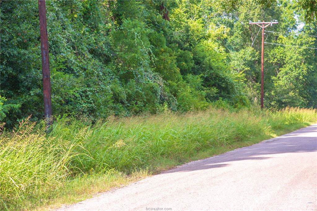 Lot 75 Mallard Drive - Photo 1