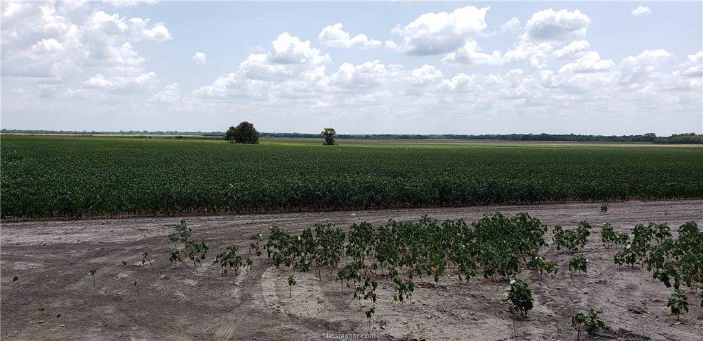 779 County Road 240A - Photo 1