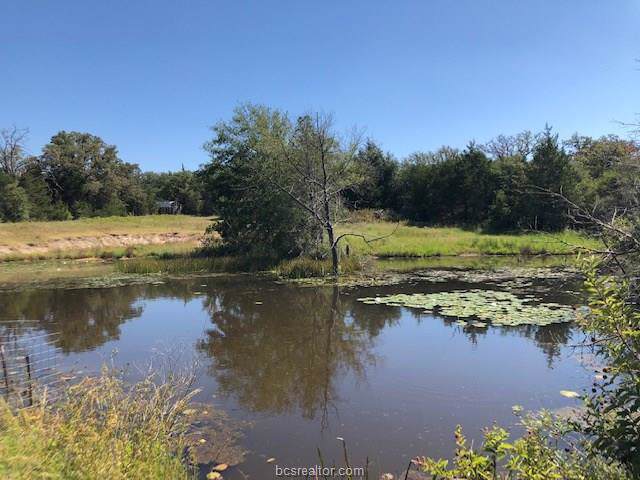 0000 County Road 346 - Photo 1