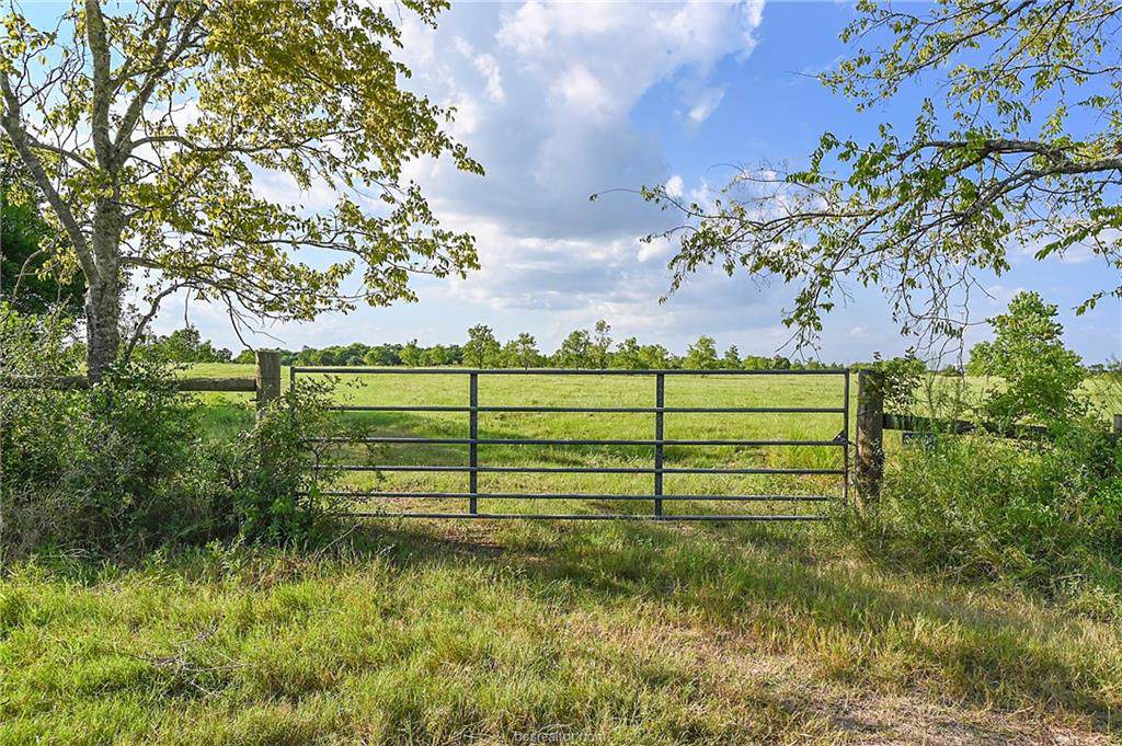 35390 Purvis Road - Photo 1 35390 Purvis Road - Photo 1
