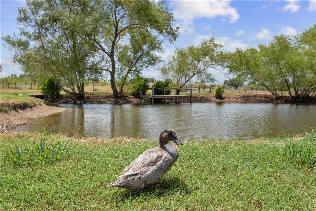 4838 Hwy 39 - Photo 1