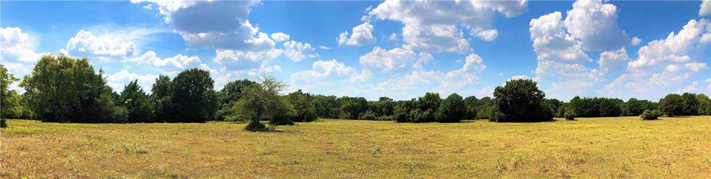 11847 Sadberry County Road - Photo 1