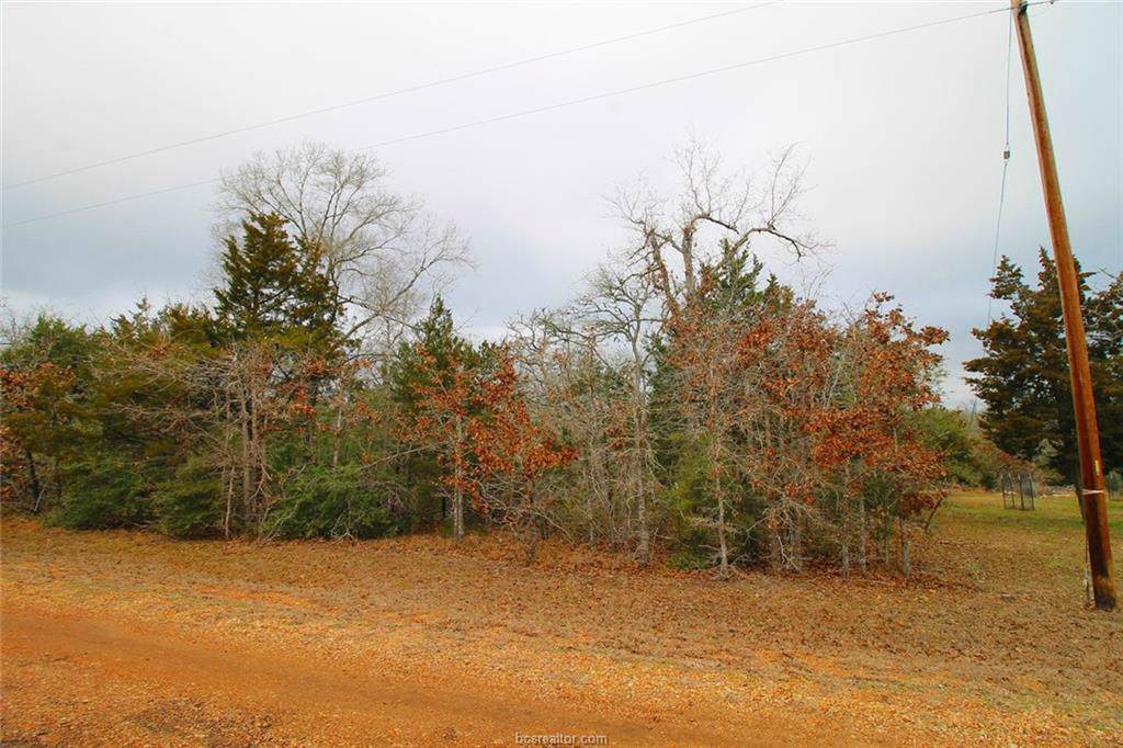 459 Berry Lane - Photo 1