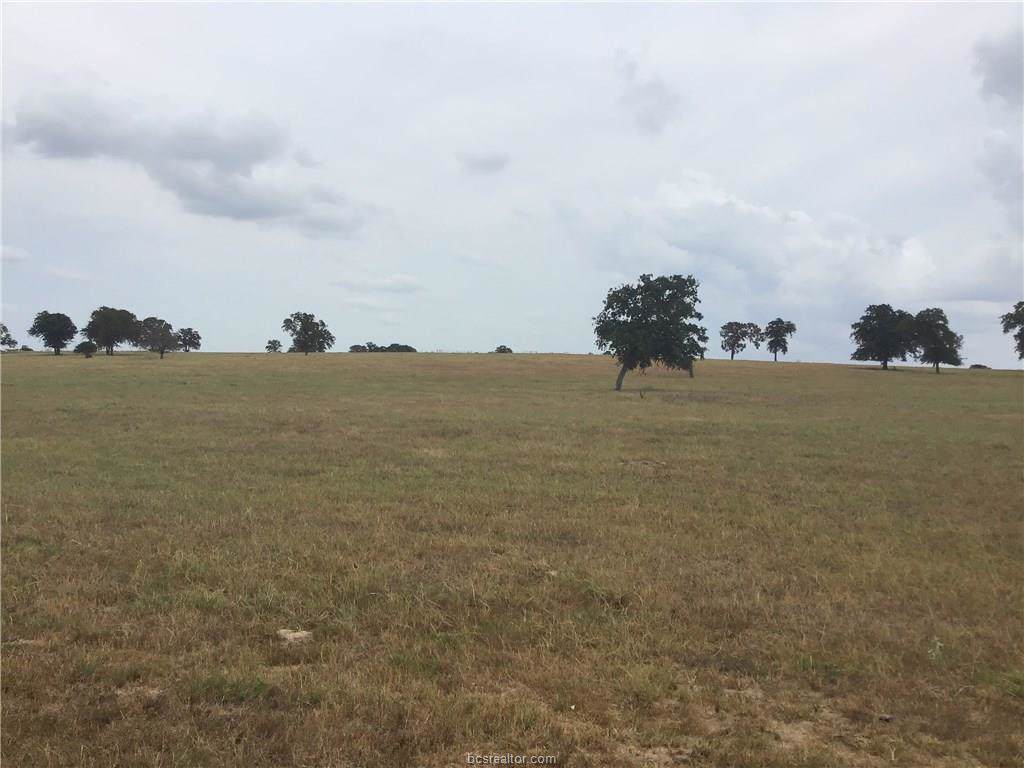 7529 Fm 2446 Farm To Market Road - Photo 1