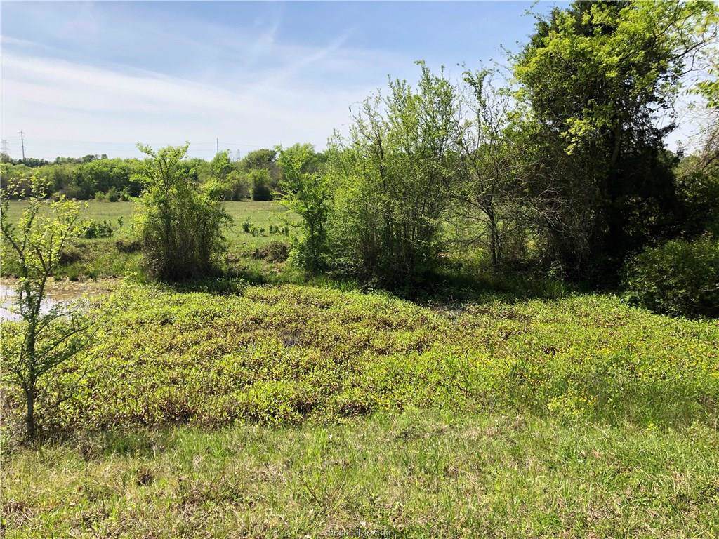 TBD County Road 220 Road - Photo 1
