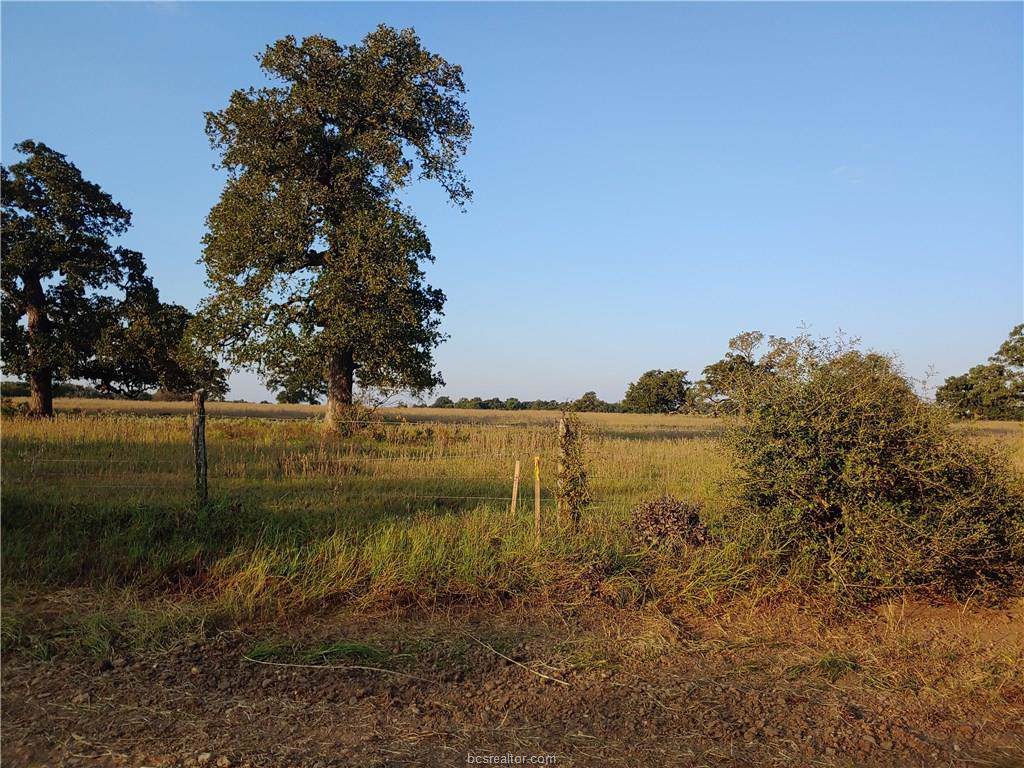 14596 Cr 274 County Road - Photo 1