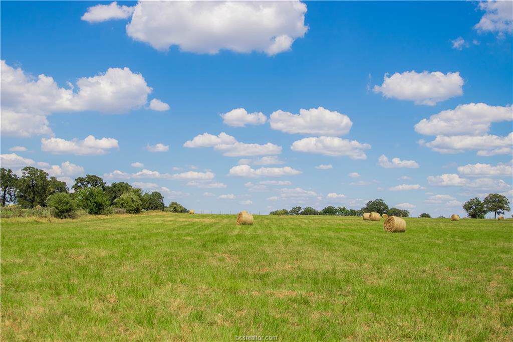 5203 Fm 3058 (203.74 Acres) - Photo 1