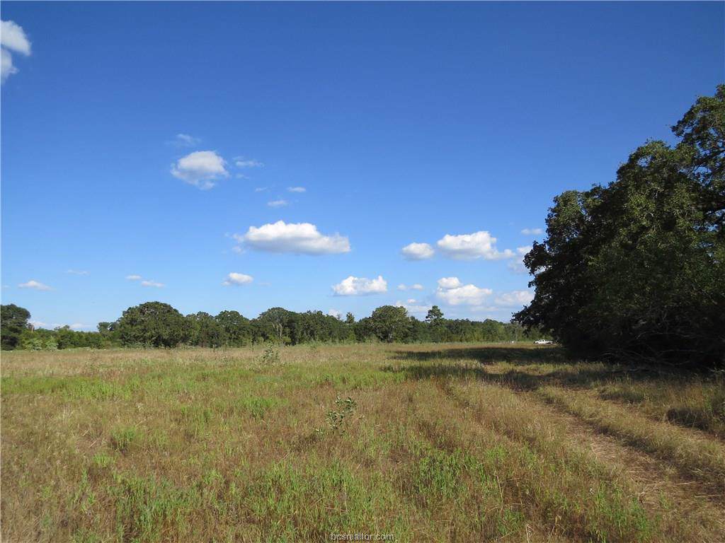 Tract 6 Cr 180 - Photo 1