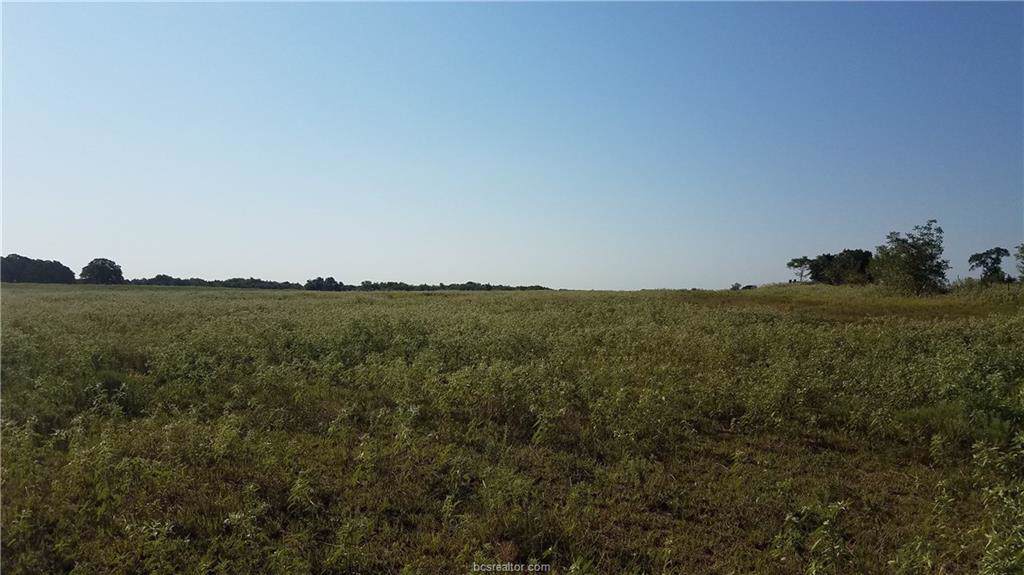 6717 Fm 979 (Easement) - Photo 1