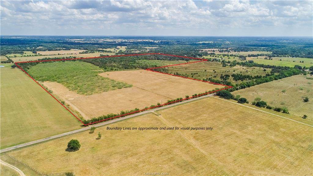 TBD (99.5 Acres) County Road 426 - Photo 1
