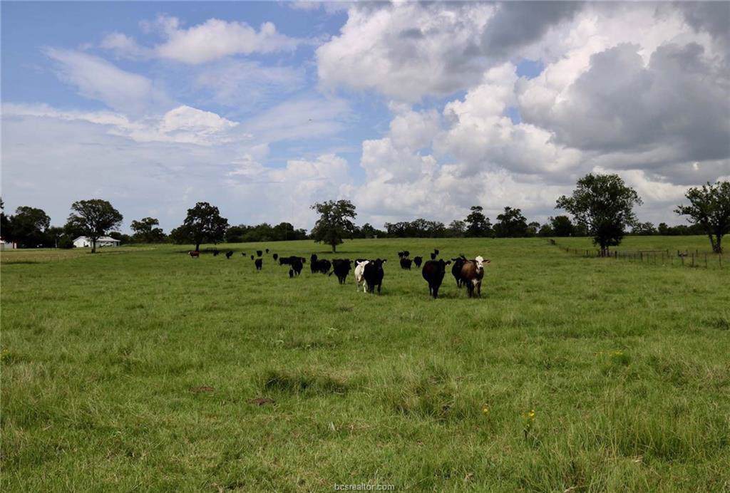 0020 County Road 185 - Photo 1
