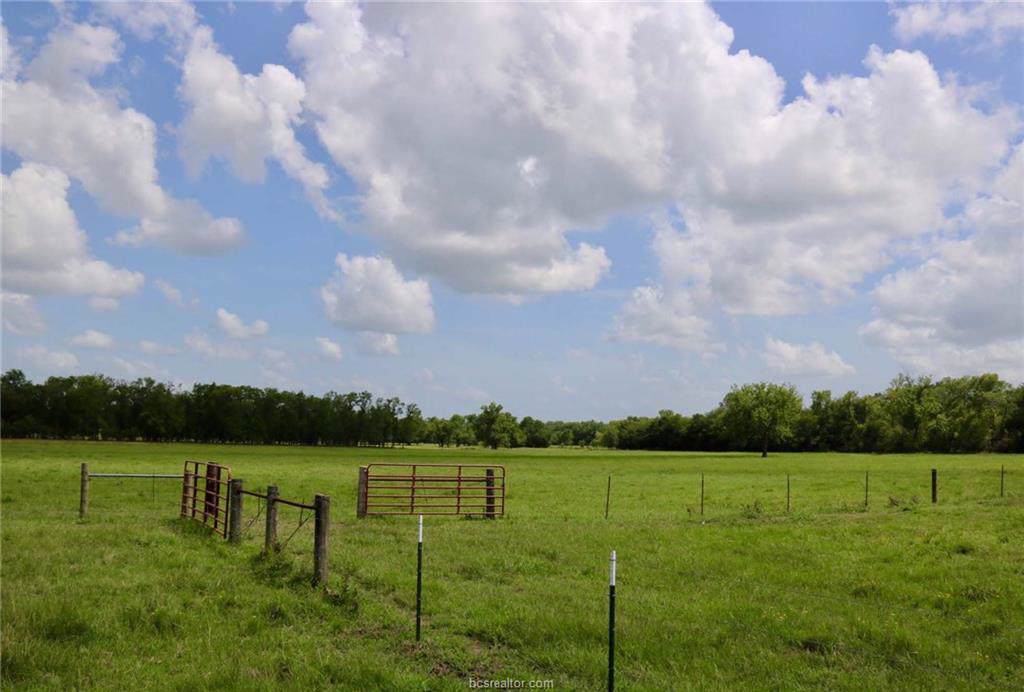 0025 County Road 185 - Photo 1