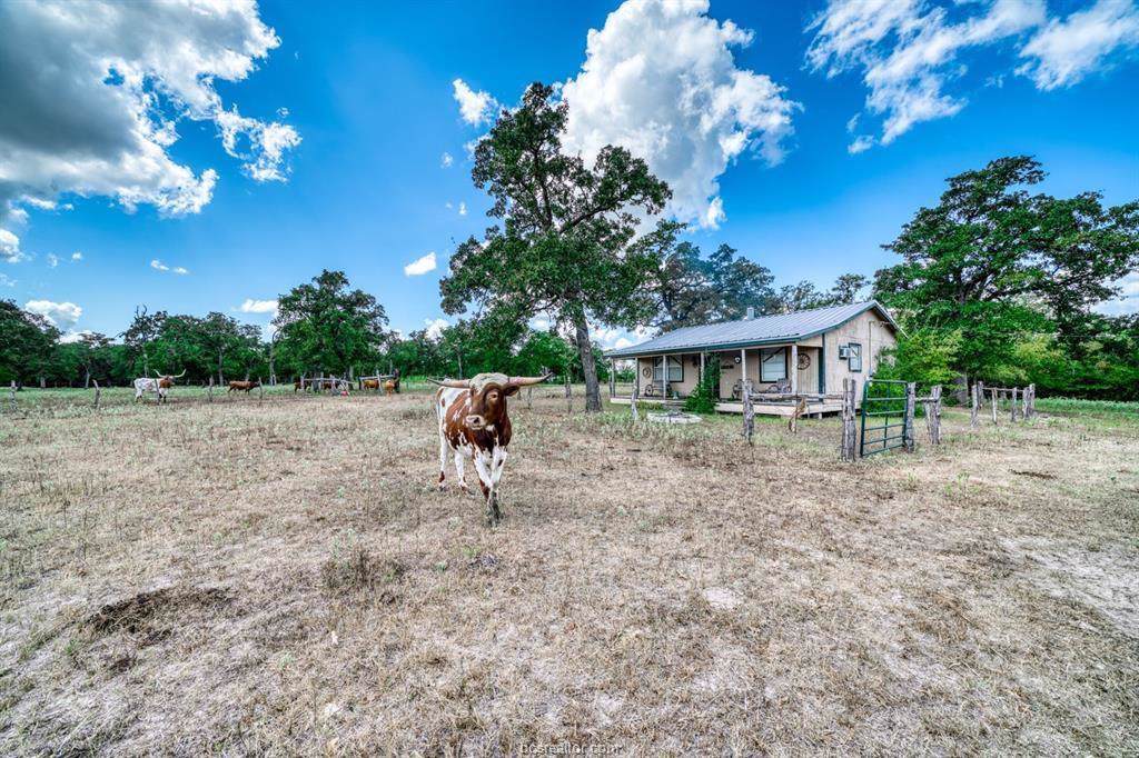 0000 Tbd John Rice Dr - Photo 1