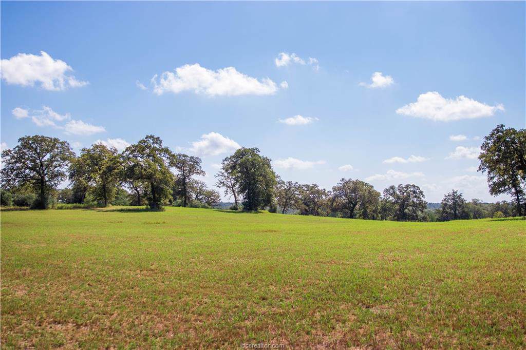 11250 Silver Springs Circle - Photo 1
