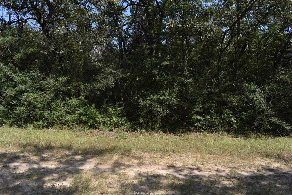 TBD Sioux Lane - Photo 1 TBD Sioux Lane - Photo 1