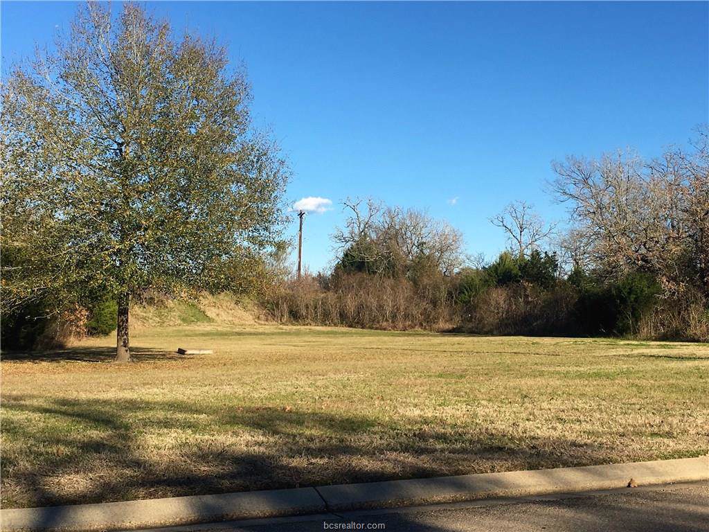 9999 Earl Rudder Freeway S/Wayfarer Ln. - Photo 1