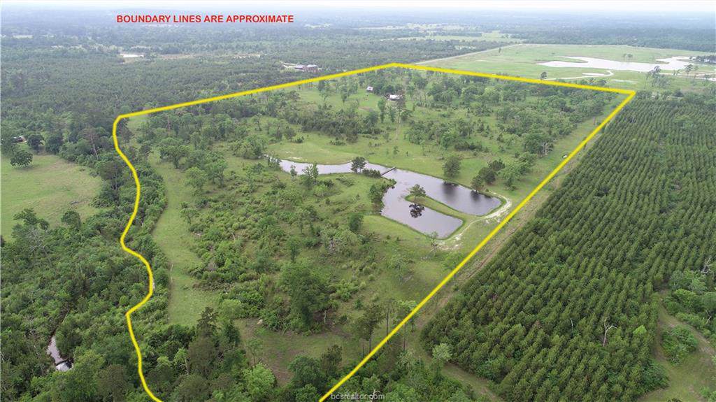 64.742 Acres Ron Walker Lane - Photo 1