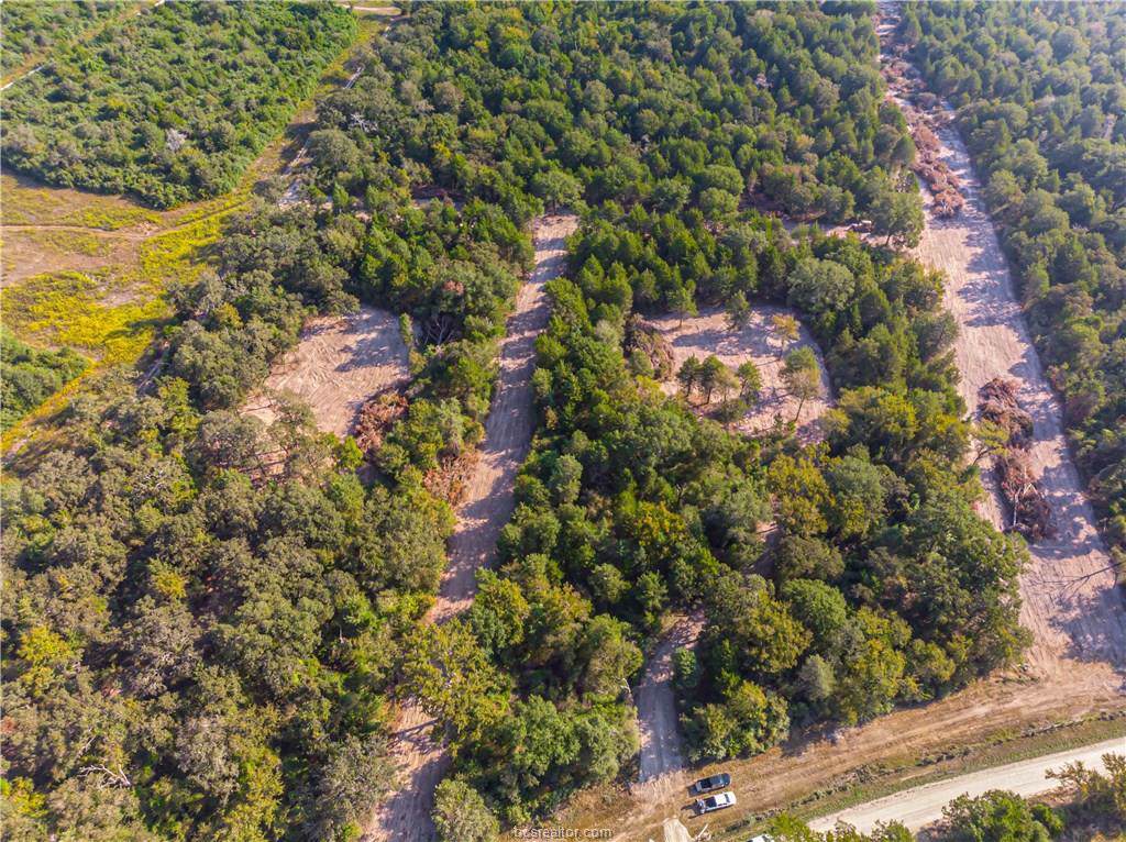 TBD #2 Old Hickory Grove County Road - Photo 1