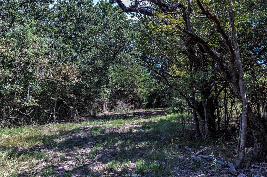 606 W Fm 979 - Photo 1