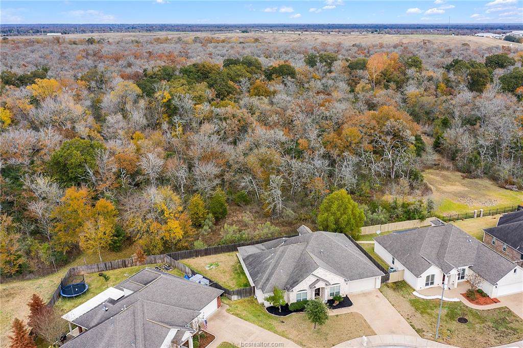 4444 Spring Meadows Drive - Photo 1