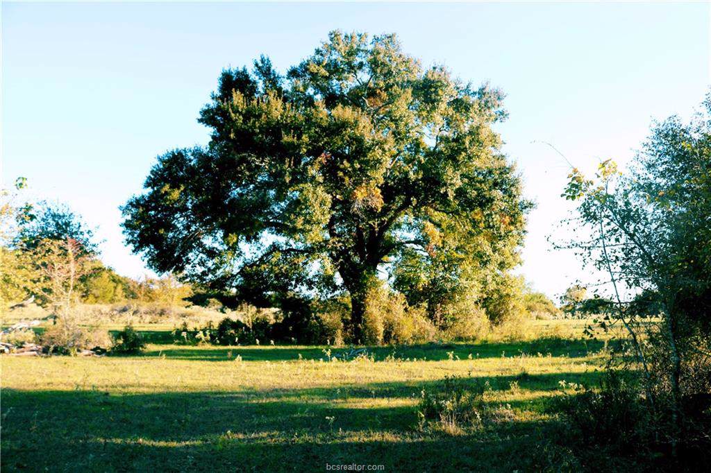 TBD 12.62 Acres Stousland Road - Photo 1