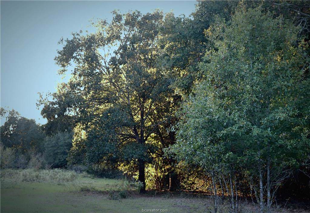 TBD 11.3 Acres Stousland Road - Photo 1