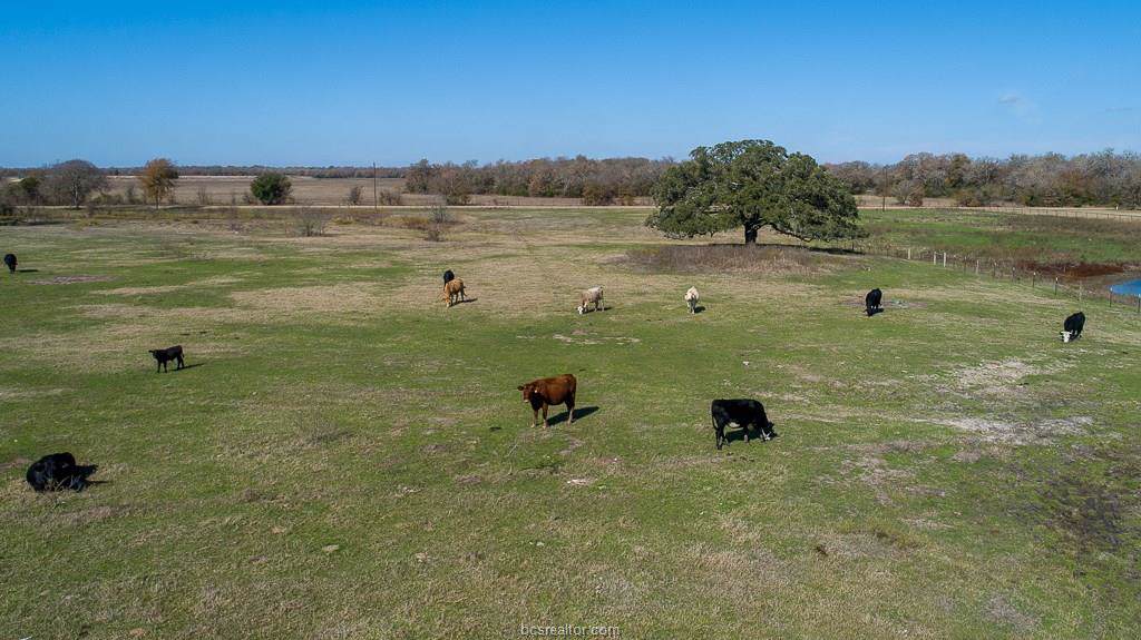 12.61 ACRES LOT 2 - Cr 201 - Photo 1