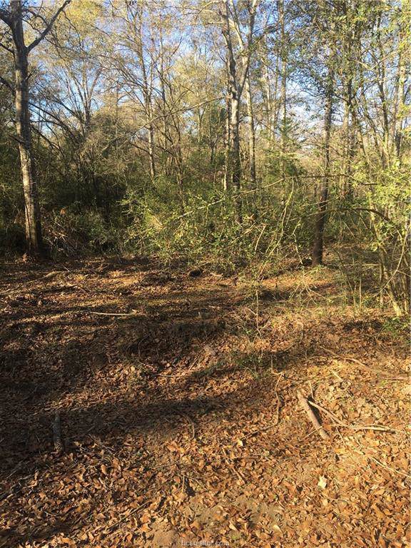 1264 Us Highway 79 - Photo 1