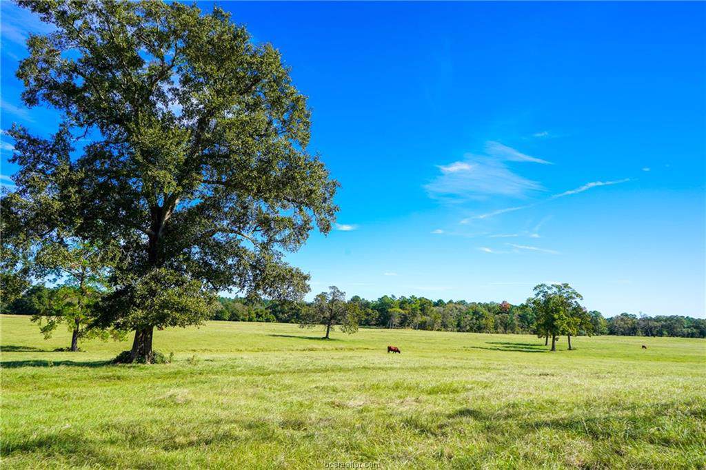 11567 Highway 90 - Photo 1