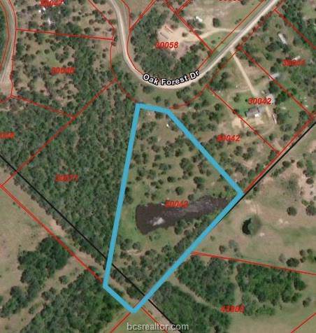 TBD Oak Forest Dr - Photo 1