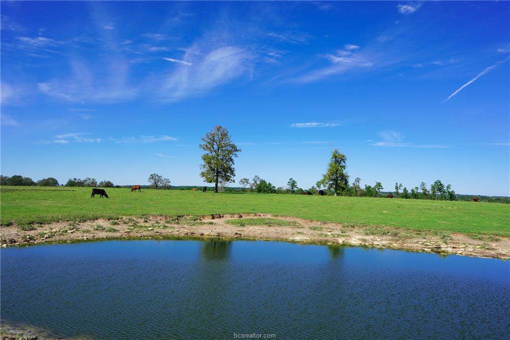 11567 Highway 90 - Photo 1