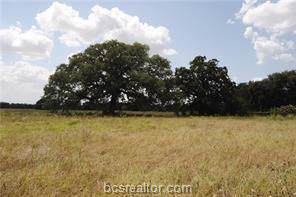 5392 Stousland Road - Photo 1
