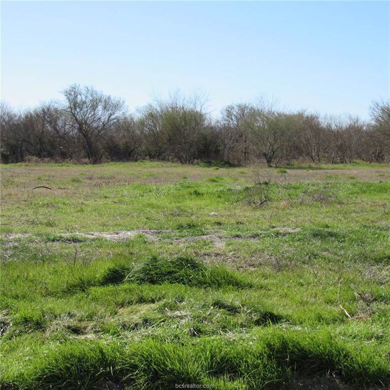 2.8 Acres Cr 108 - Photo 1