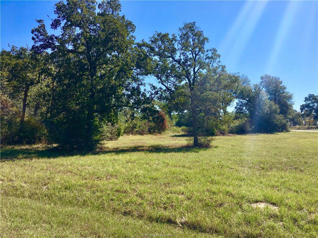 Lot 278 Leigh Court - Photo 1