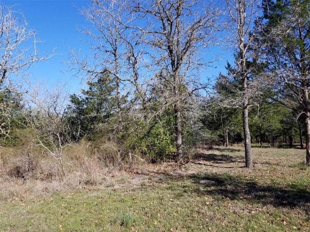 Tract 2 County Road 471 - Photo 1
